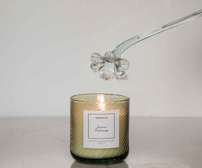 Amazoyna Candle Limited Edition