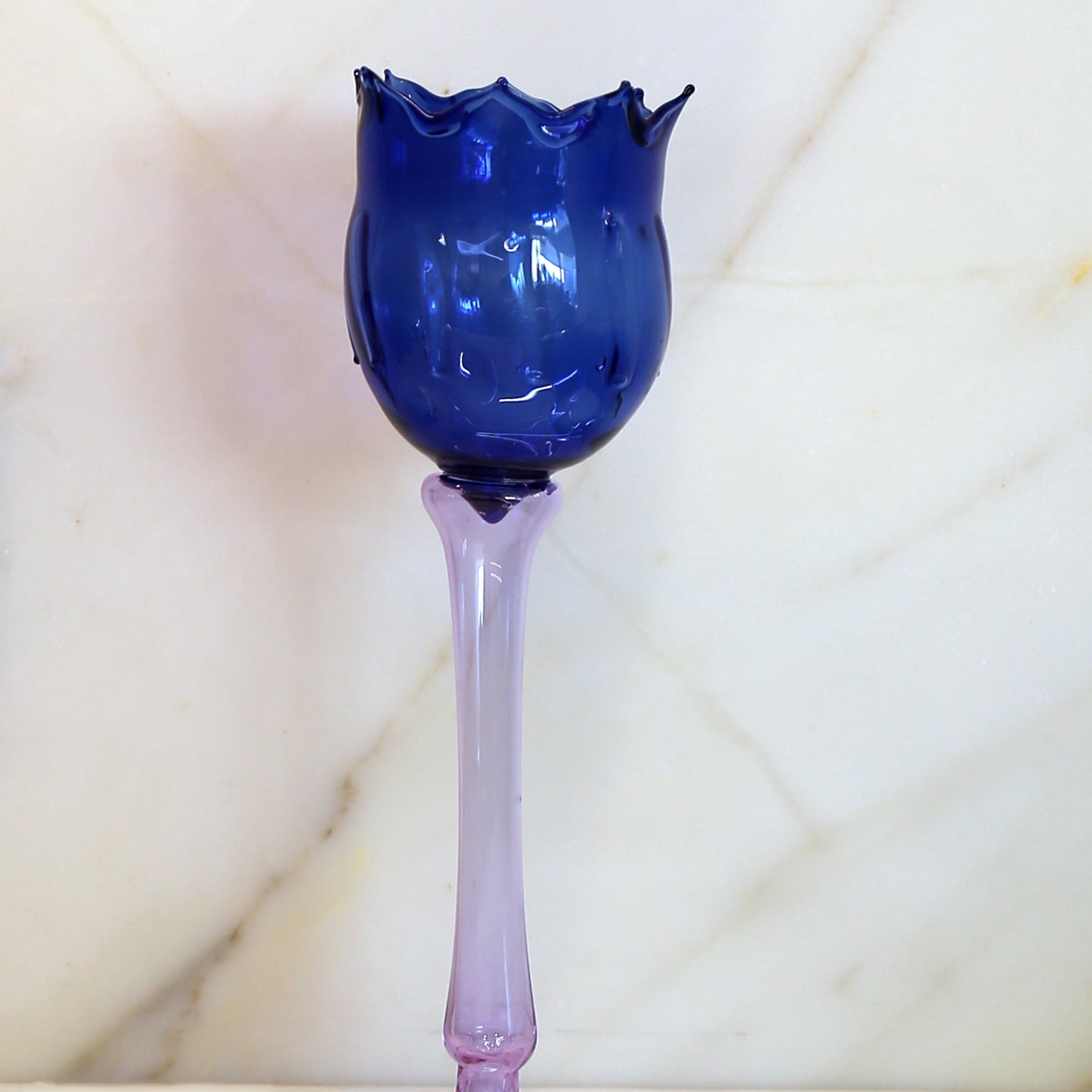 Tulipanes