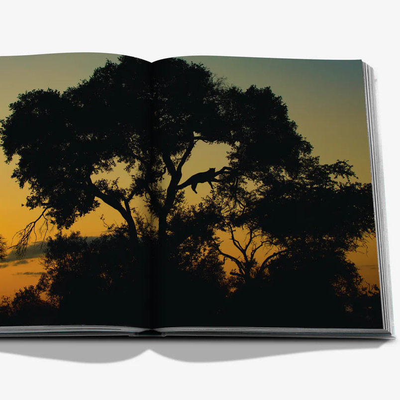 Libro Londolozi