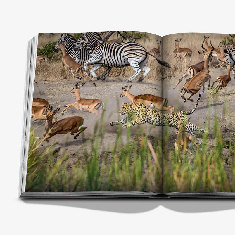 Libro Londolozi