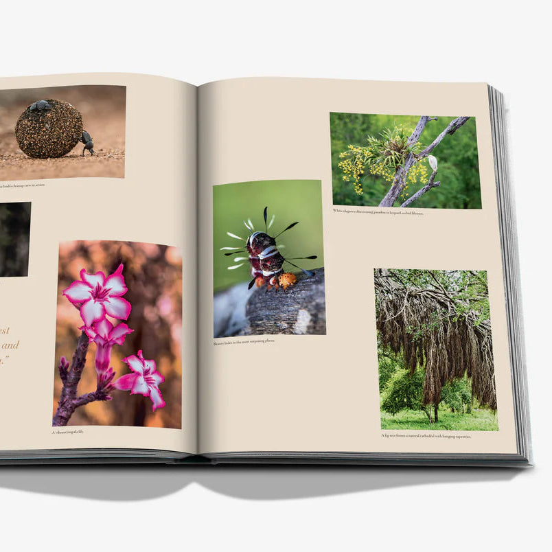 Libro Londolozi