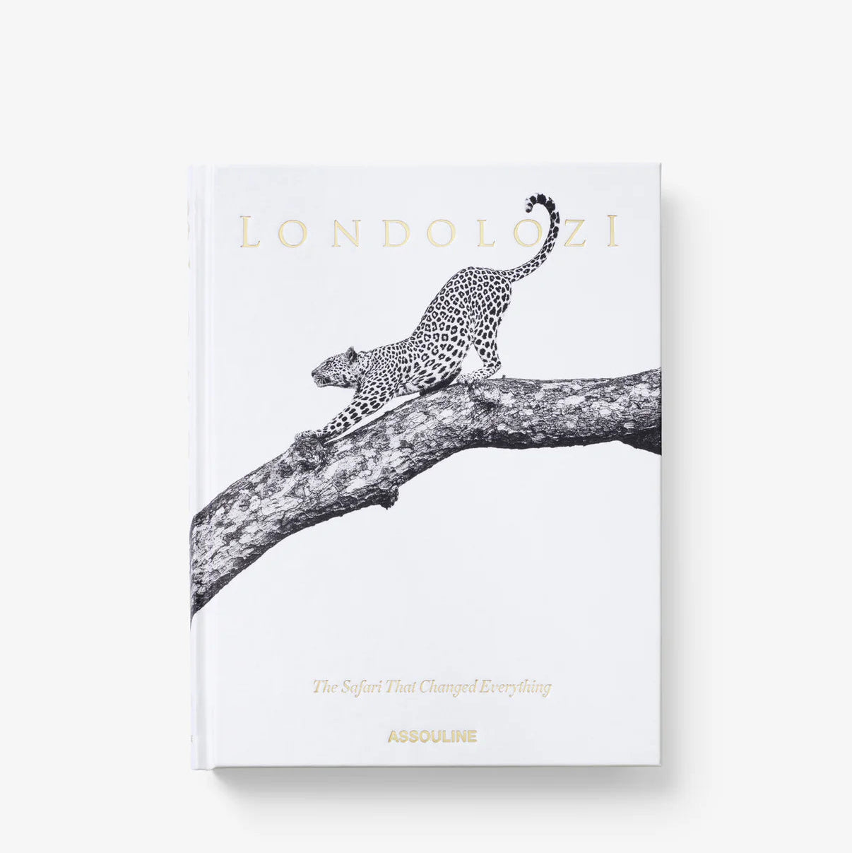 Libro Londolozi